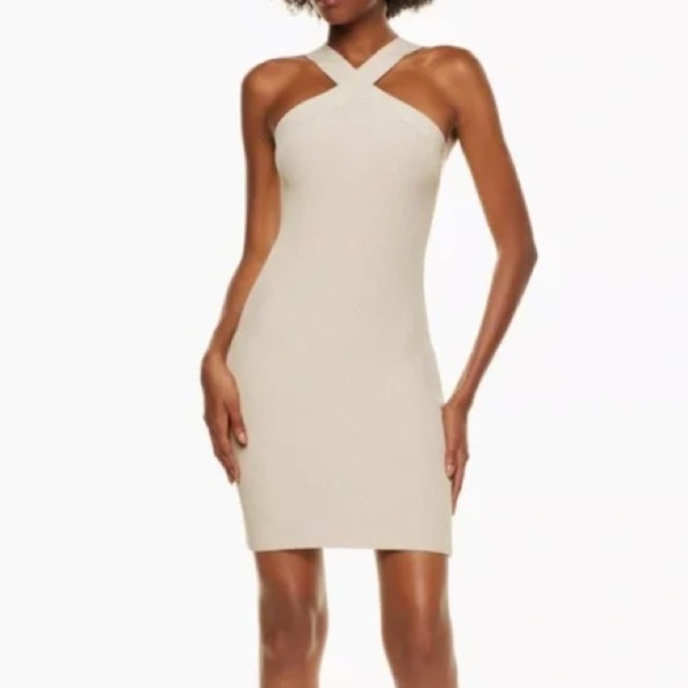 Aritzia Babaton Dress